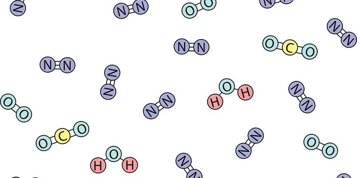 Revealing a Critical Protein Involved in the Pentose Phosphate Pathway in Cancer