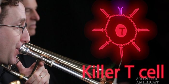 How Skin Allergies Happen