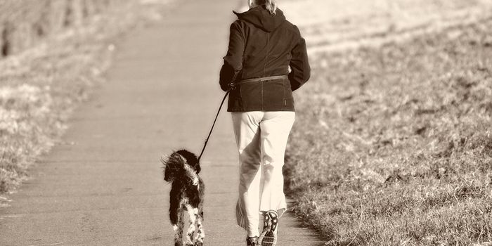 Scientists Recommend Exercise After A Heart Attack