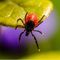 New Tick-Borne Virus Discovered in China
