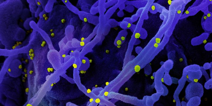 The Flu Vaccine Will Not Increase the Risk of COVID-19