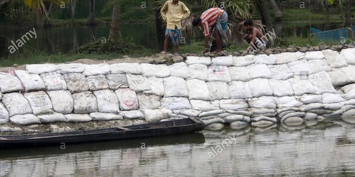 What are the environmental impacts of sea walls?