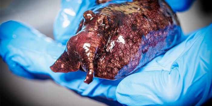 Biomolecular Tweaks Can Activate Neurons