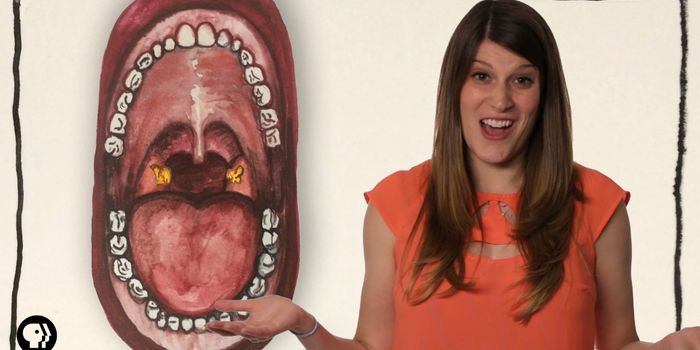 Here's Where Those Pesky Tonsil Stones Come From