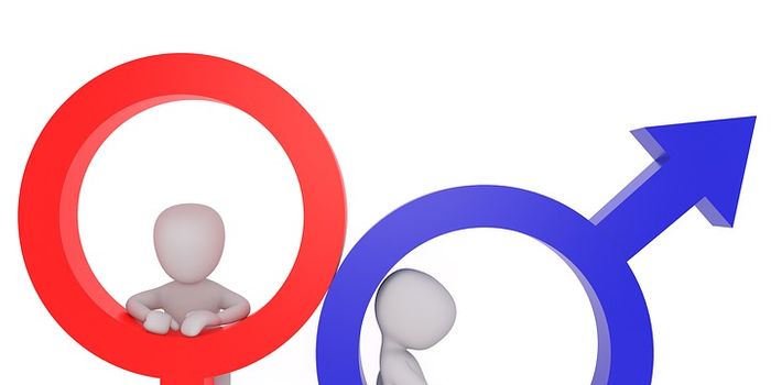 Why are women more prone to autoimmunity than men?