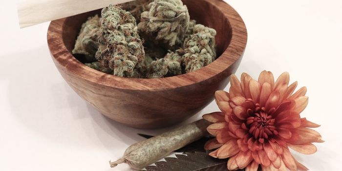 What are Terpenes and What do They Have to Do With Pot?