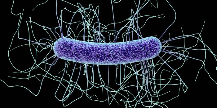 MDSINE: Open Source Software Available for Microbiome Analysis