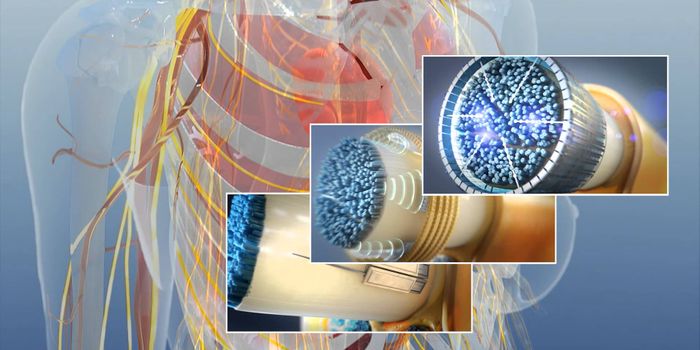 Zapping the nerves to promote nerve regeneration