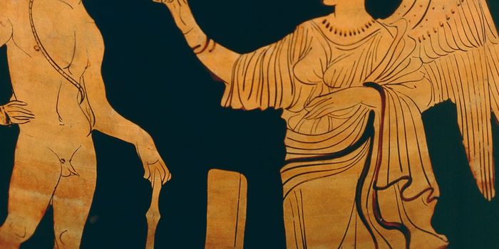 New Research Shows Relations Between Testosterone, Competition, and Competitive Endurance