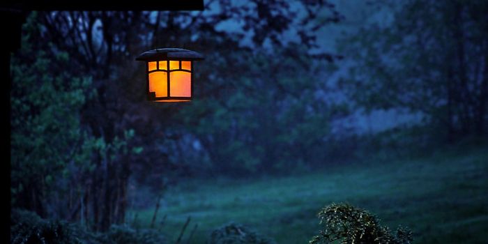 Insomnia Linked to 40% Higher Dementia Risk