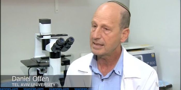 Stem Cell Therapy Enables Paralyzed Rats to Walk Again