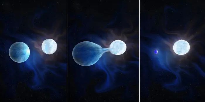 Discovery of Massive Stars Stripped of Hydrogen Envelopes in Binary Systems
