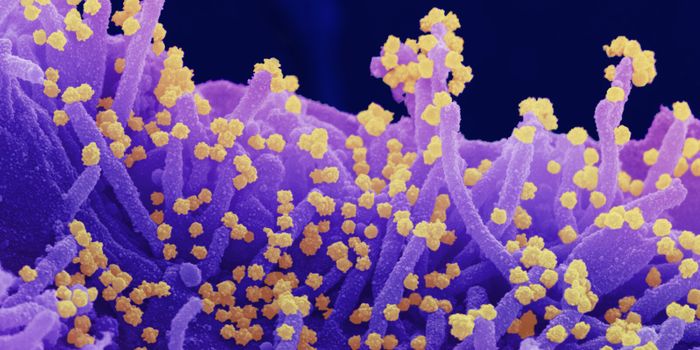 COVID-19 Delta Variant Seems to Grow Faster & Be More Contagious