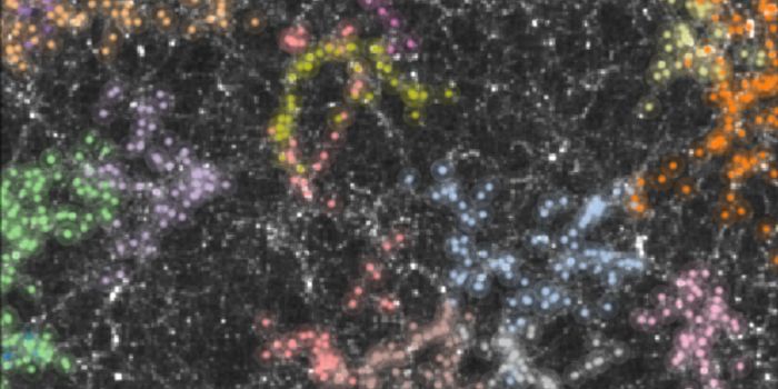 Computer Simulations Bring Order to a Chaotic Universe