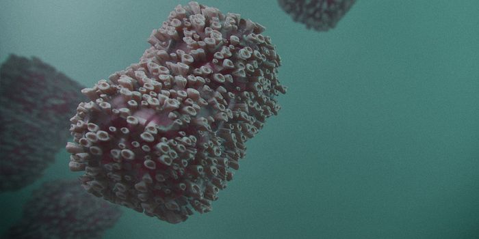 Monkeypox Vaccination Loses Potency After a Year