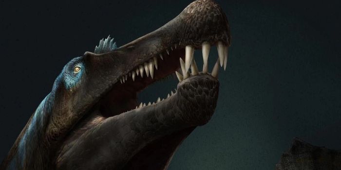 Is This the First Known Swimming Dinosaur?