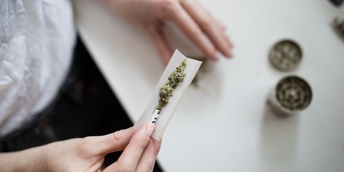 Cannabis Users Are Normal Hardworking Members of the Community Too