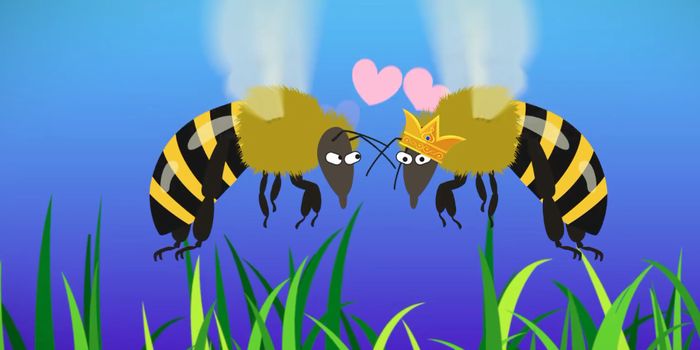 Some Animals Reproduce in Stranger Ways Than Most Can Imagine