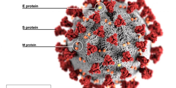 Certain Drugs May Raise the Risk of a Severe COVID-19 Infection