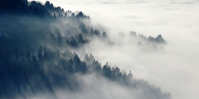 Blood Pressure Drug and Antioxidant May Treat Long COVID Brain Fog