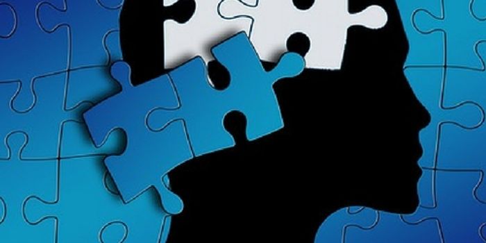 Neuromodulation Could Curb Some Autism Behaviors