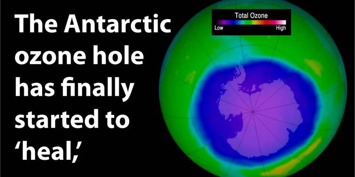 Oh my, the Ozone is healing!