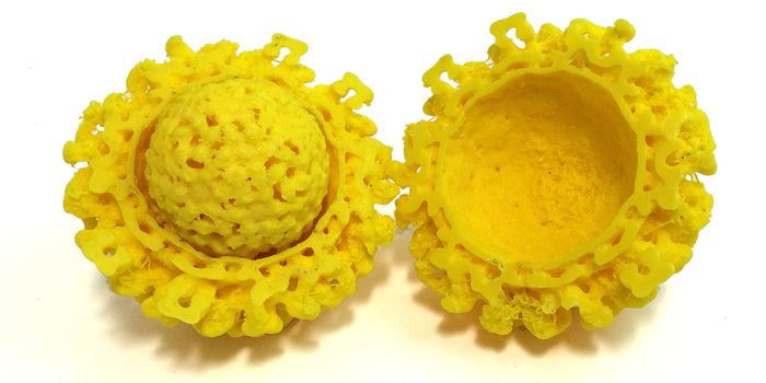 A Molecule in Mosquito Saliva Aids Chikungunya Infections