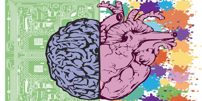 Automating the Analysis of the Circle of Willis to Determine Vascular Health