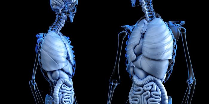 Researching New RNA Biomarkers for Liver Cancer