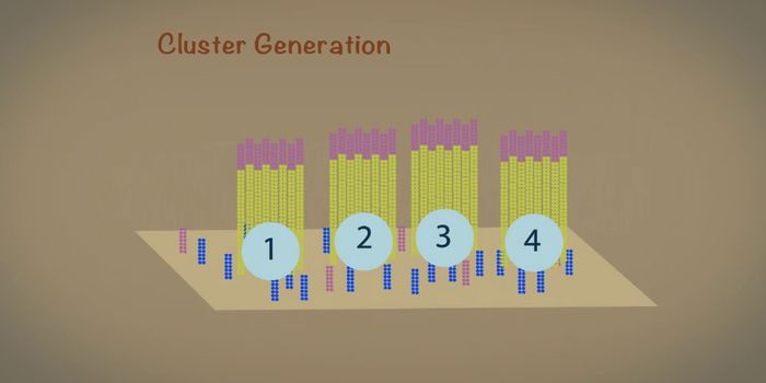 What is Next Generation Sequencing?