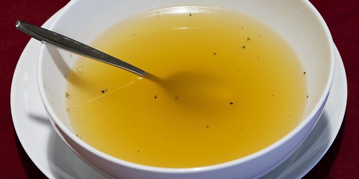 How Gut-Brain Signaling Reduces Post-lllness Appetite