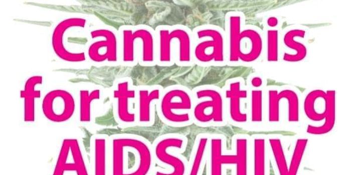 Cannabis and the Relief for HIV/AIDS