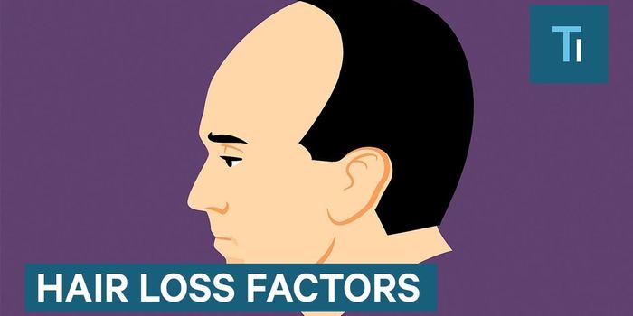 Why Do Old People Have Less Hair?