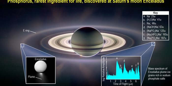 Enceladus' Interior Ocean Confirmed to Possess Phosphorus, A Key Building Block of Life