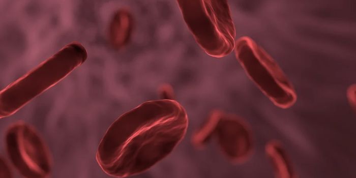 A Synthetic Red Blood Cell That's Better Than the Real Thing