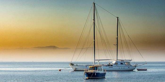 Teen Climate Activist Speaks at French Parliament