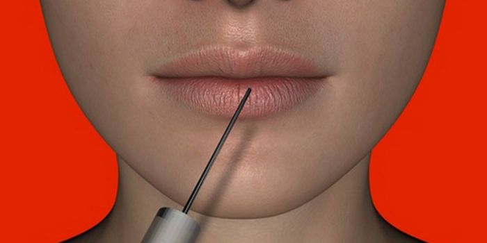 Some Medicines are Made From Animal Toxins