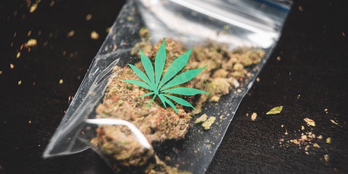 Cannabis Help for Fibromyalgia