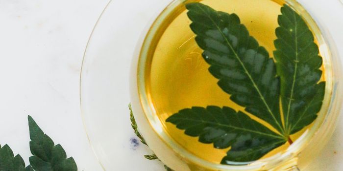 CBD-Infused Drinks Not up To Scratch