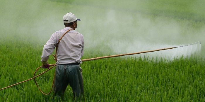 Resistant Weeds Killer Risks Water Contamination