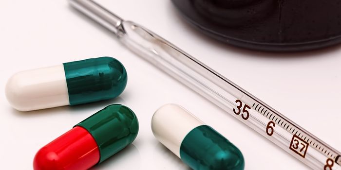 Scripps Florida Scientists Develop New Drug Delivery Method for Cancer Therapy