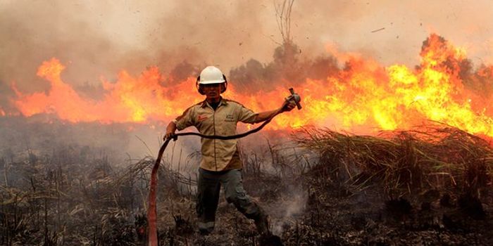 Police arrest 454 individuals for spreading fires in Indonesia