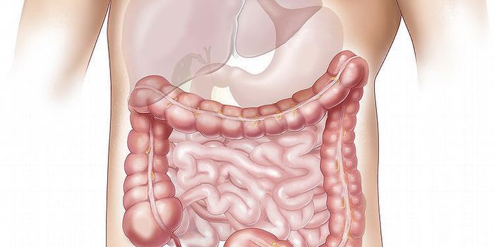 Mechanism of Resistance to Colorectal Cancer Treatment Uncovered