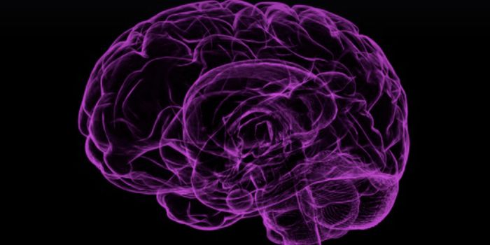 Illuminating the Complexity of the Human Hypothalamus