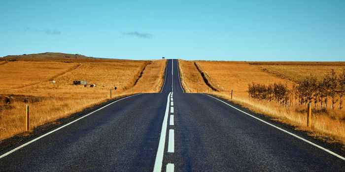 Cannabis and Driving: How Long Should You Leave It?