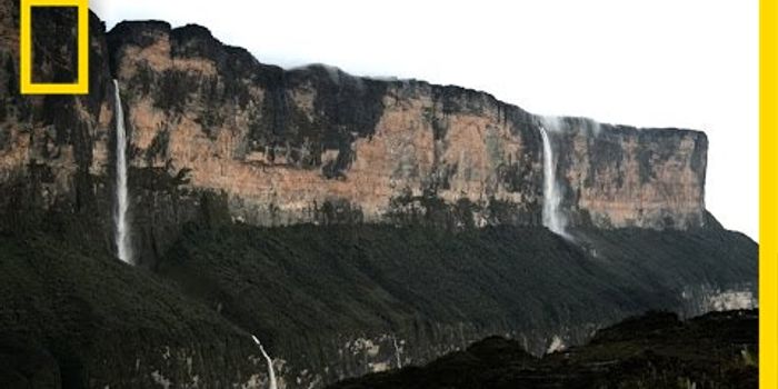 Rappelling down the Tapuis in search of an ancient frog