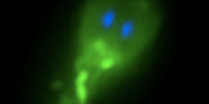 Parasitic Molecules Mimic Human Proteins & Chew Through the Gut