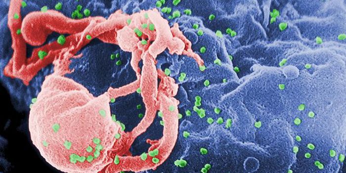 Similarities between Leukemia and AIDS