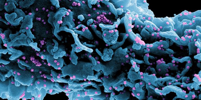 COVID-19 Vaccines Seem Well-Tolerated by Pregnant Women