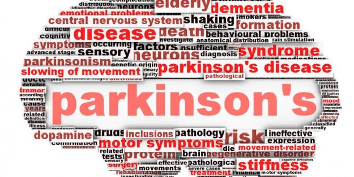 Parkinson's Disease: New Insights into α-Synuclein Toxicity